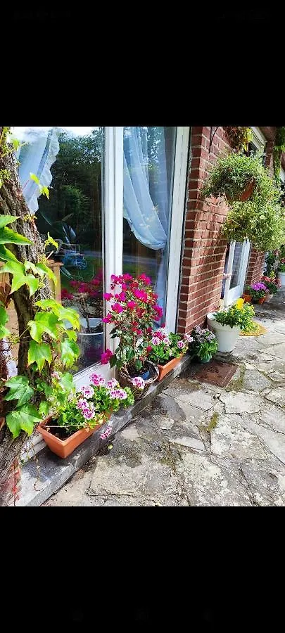 Maison Wezembeek-Oppem Homestay